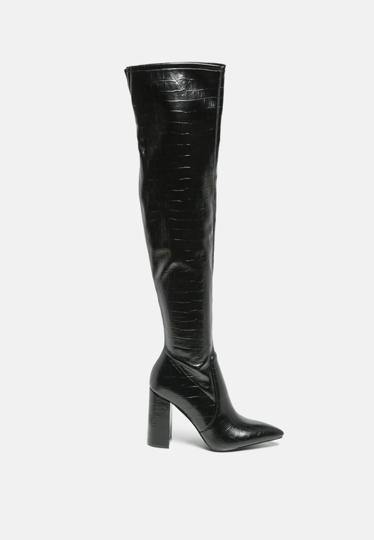 Pokey Long Stiletto Heel Boots-5